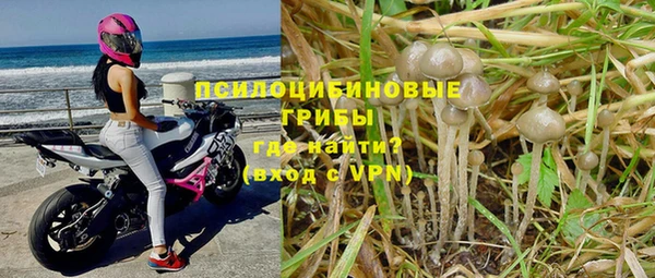 трава Протвино