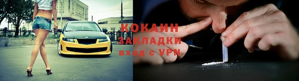 прущие грибы Пролетарск