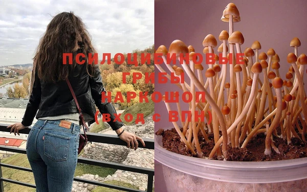 трава Протвино
