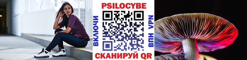 Купить где  Томилино  Галлюциногенные грибы мицелий 