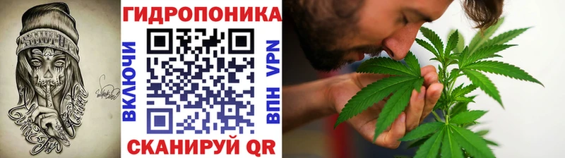 Бошки Шишки THC 21%  Купить закладки  Томилино 